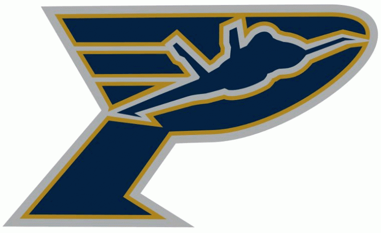 pensacola ice flyers 2012 secondary logo iron on transfers for T-shirts